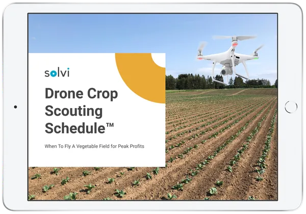 drone in field