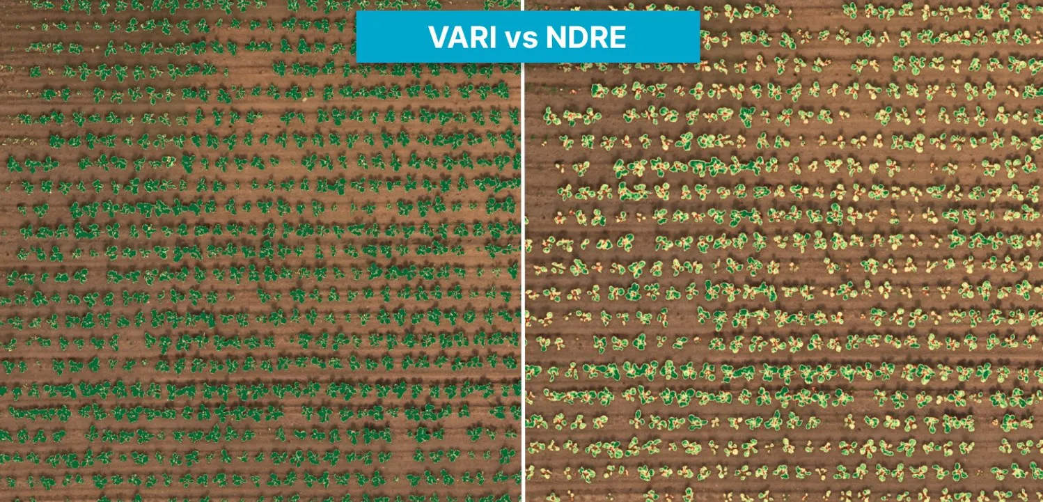 “vari vs ndre”