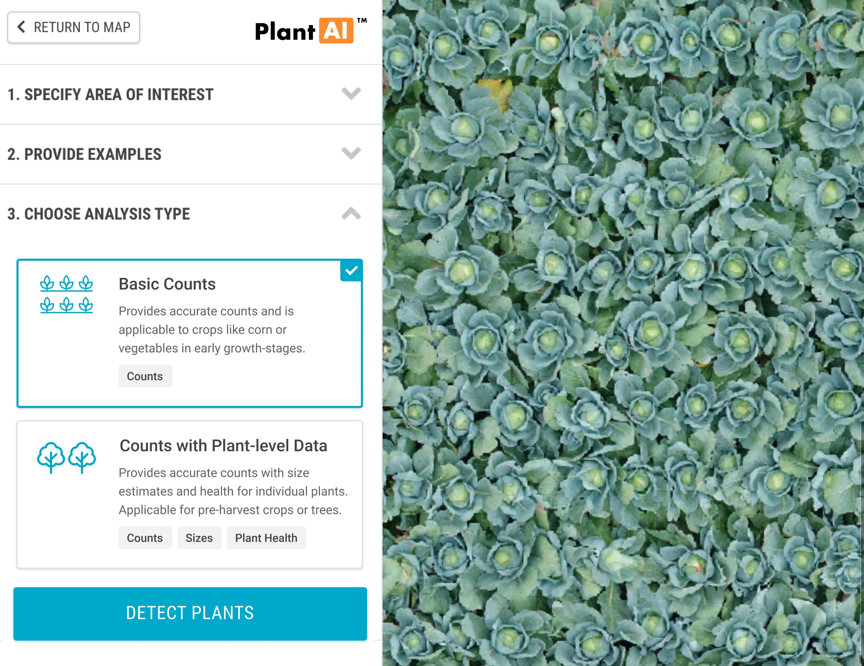 plant counts quick simple four steps