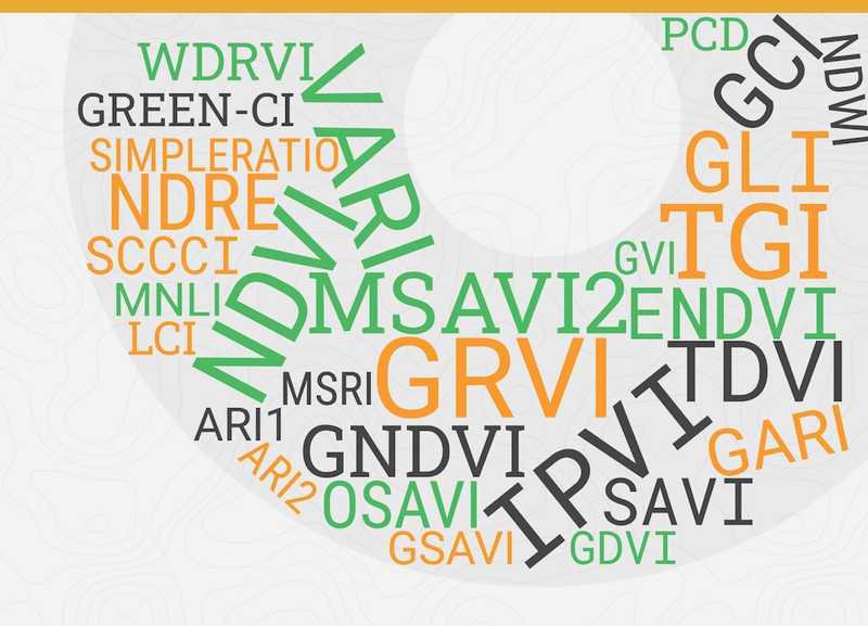 Solvi Blog  Which Vegetation Index Should I Use?