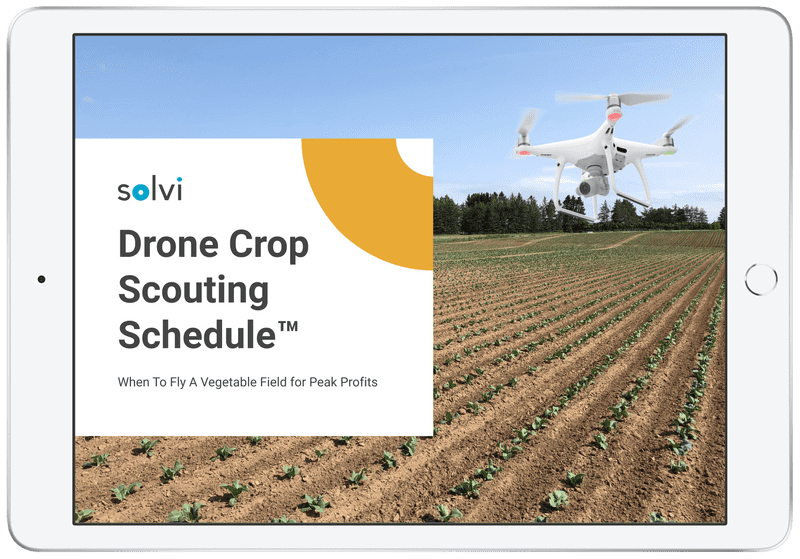 Crop Scouting Drones