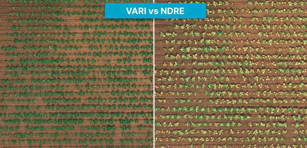 "vari vs ndre"