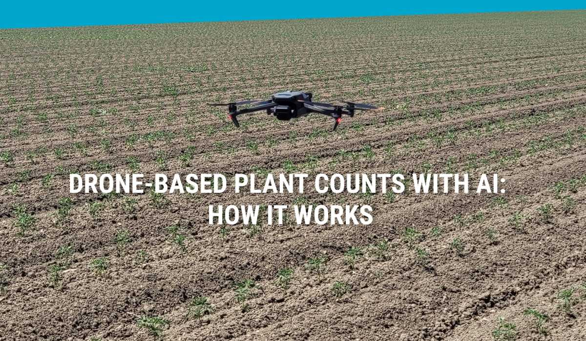 drone-based-plant-counts-with-ai