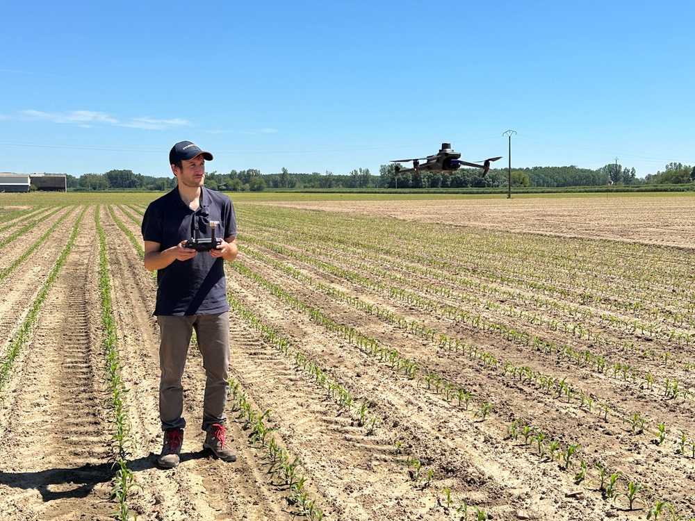 Varietal trials drive crop innovation but demand intensive data collection. To overcome this bottleneck, MAS Seeds turned to drone technology to speed up and enhance their field assessments. mas_seeds_piloting_drone