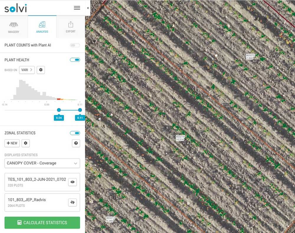 Sugar Beet Canopy Cover