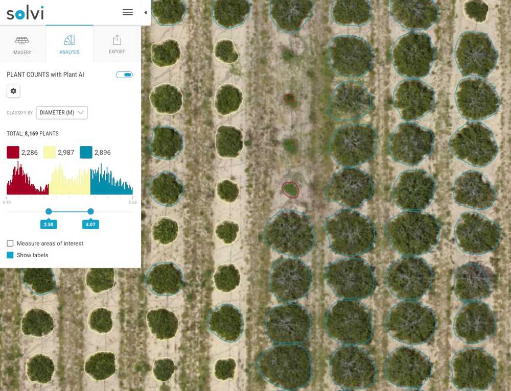 "Plant Counts in Trees"