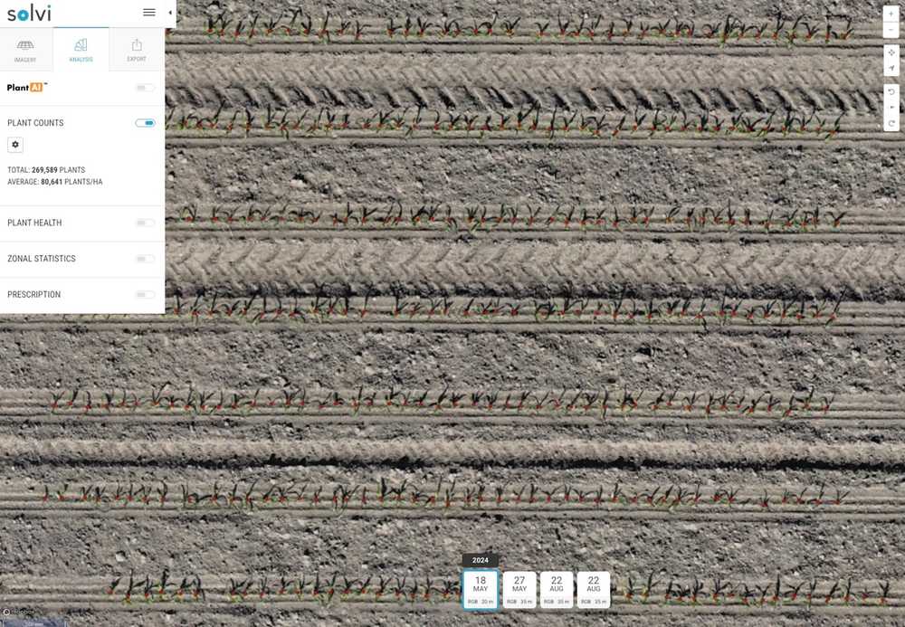 Using Solvi’s PlantAI, MAS Seeds tailors plant counts and analysis for each crop—from corn emergence and sunflower blooming to weed mapping and canopy cover. mas_seeds_early_stage_corn_counts
