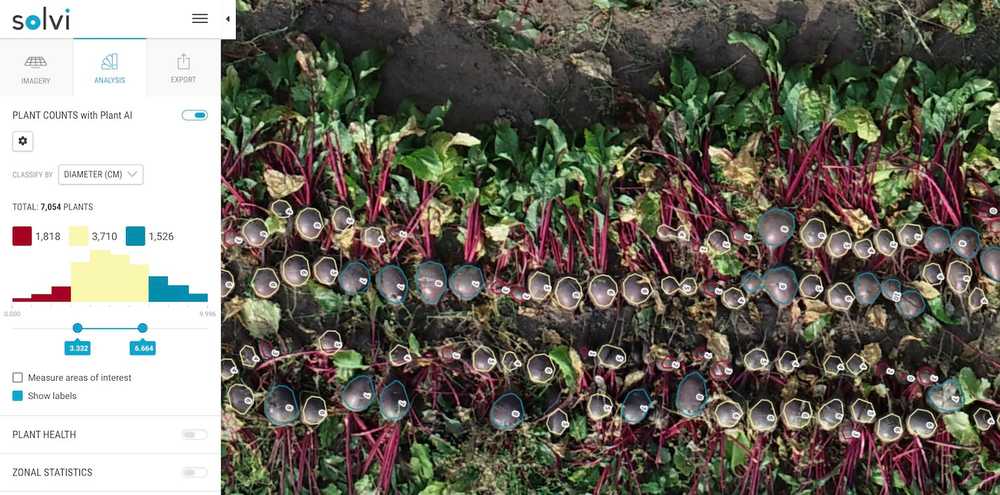 Beetroot size estimates