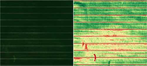 Solvi Blog | Which Vegetation Index Should I Use?