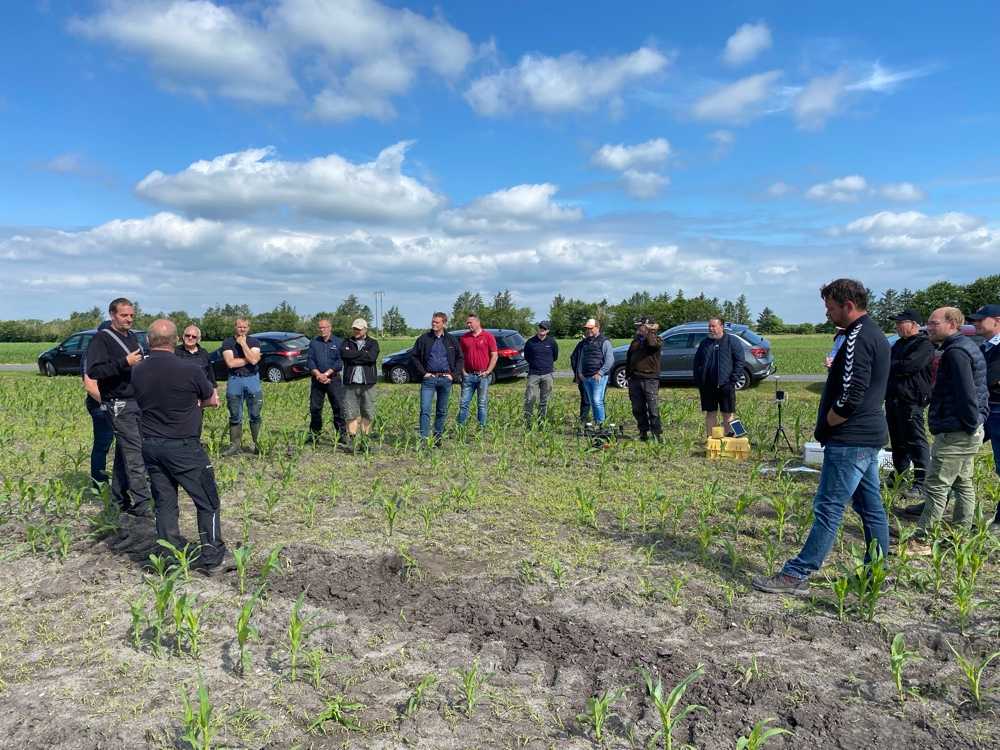 group discussion in a field trial