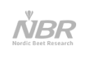 nbr logo